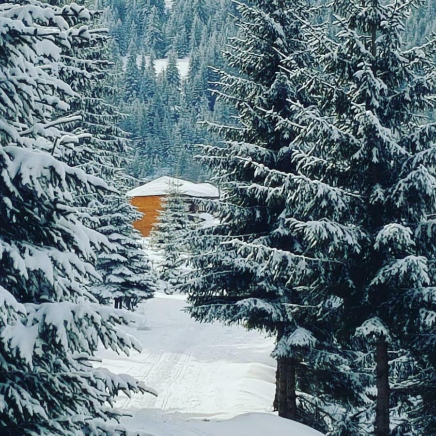 Resort Skrivena Berane Esterno foto